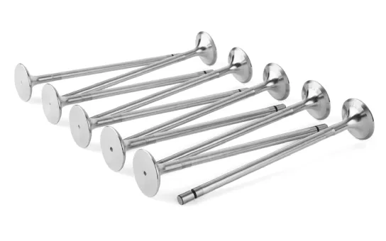 Paradise Product Image
